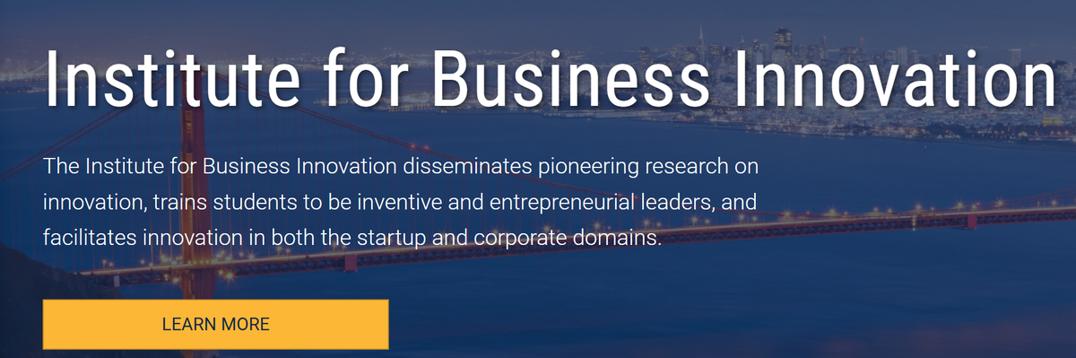 Institute for Business Innovation
